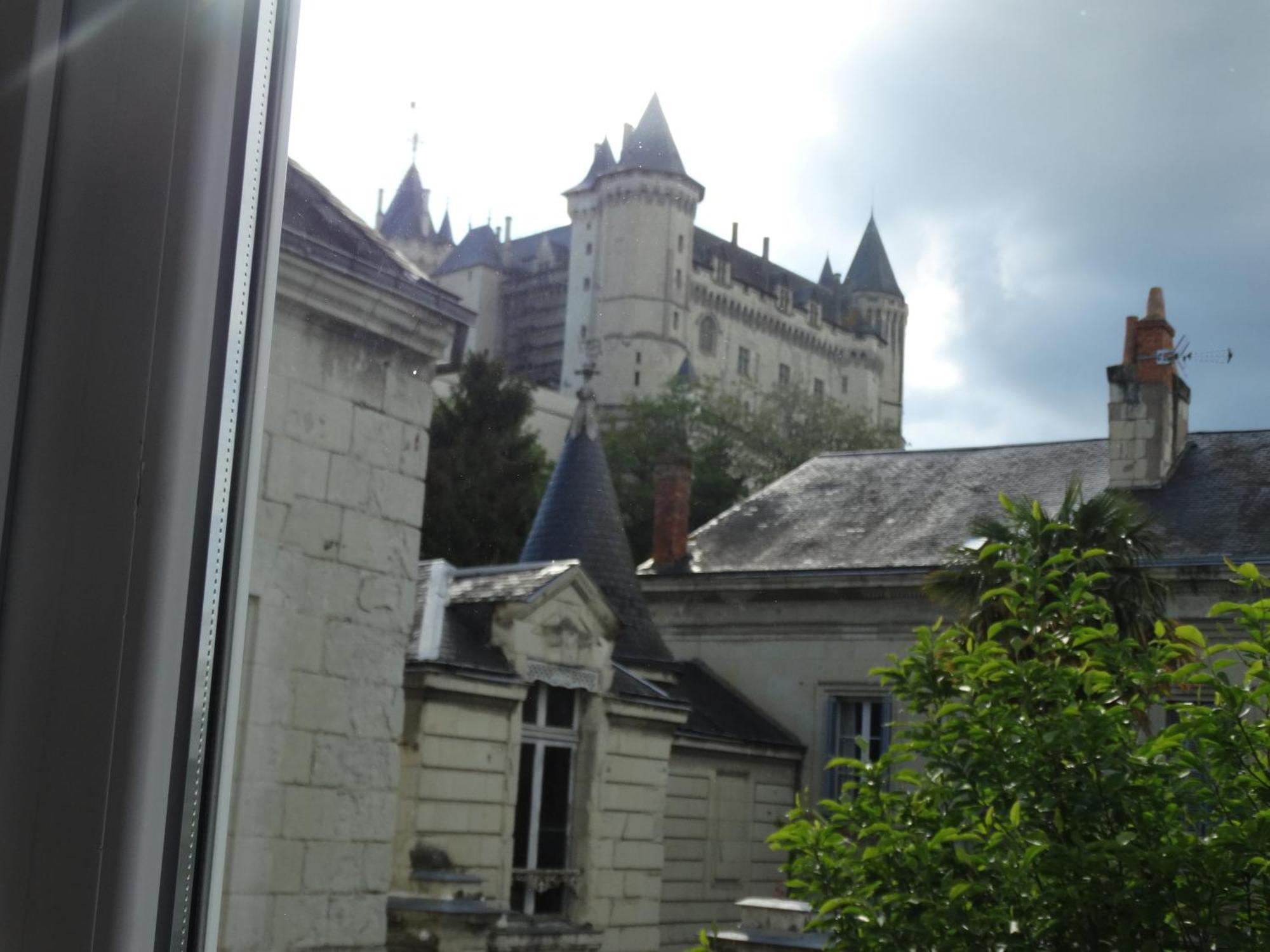 Vue Sur Chateau Et Loire سوموور المظهر الخارجي الصورة