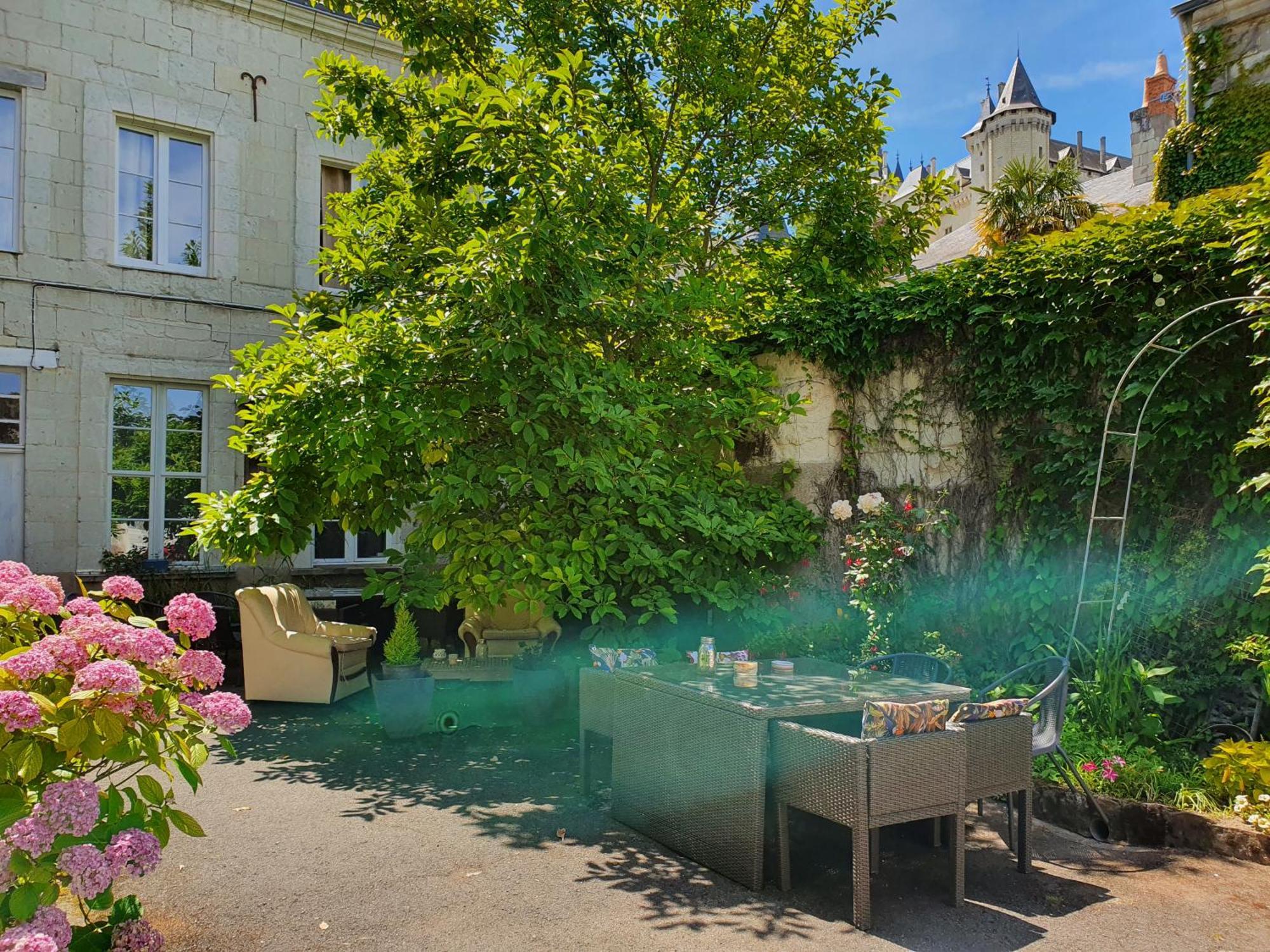 Vue Sur Chateau Et Loire سوموور المظهر الخارجي الصورة